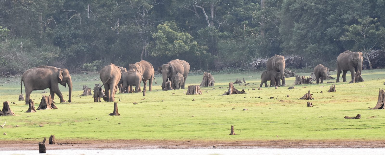 boat safari, kabini, 26/4/22