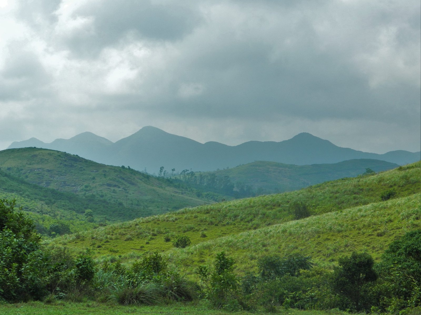 western ghats as seen from vagamon view point
