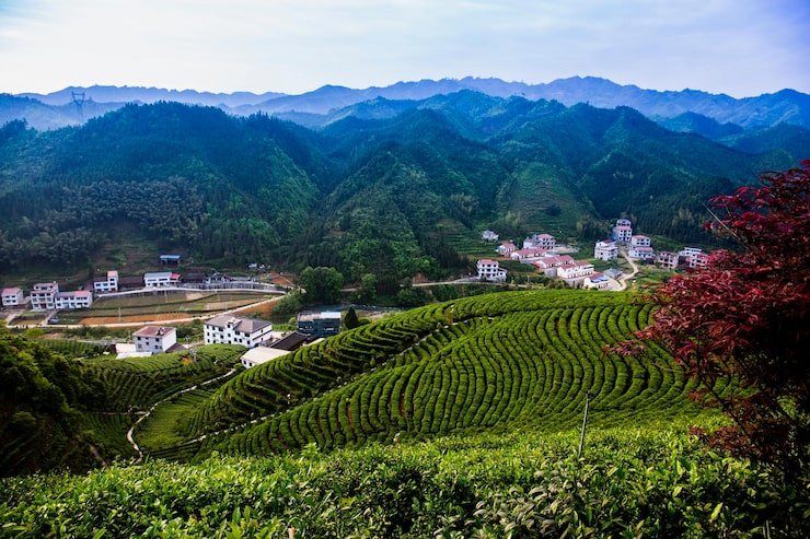 scenic view agricultural field against mountains 1048944 15042206