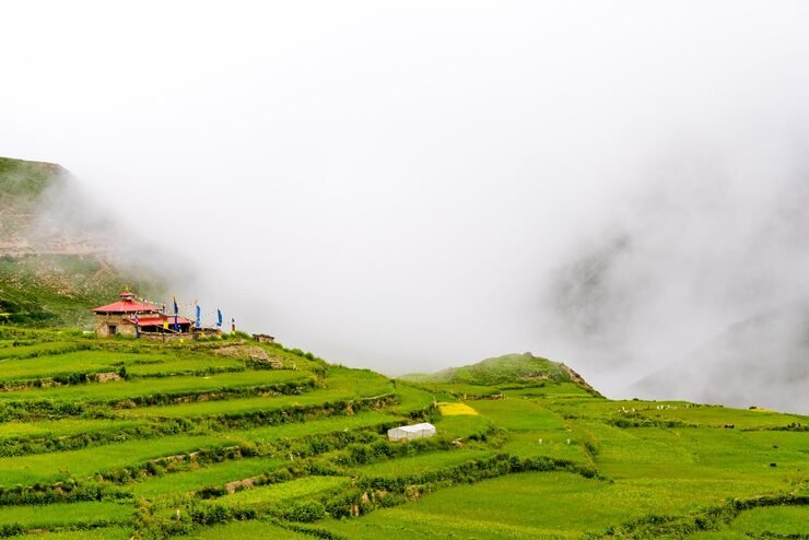 scenic view agricultural field against sky 1048944 8587855