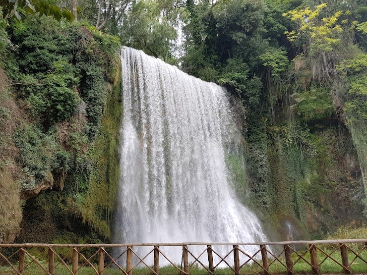 scenic view waterfall forest 1048944 23010736