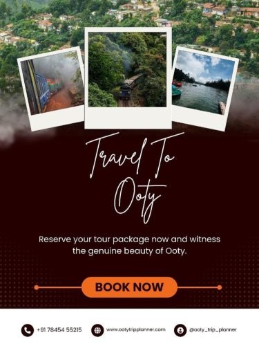 imgi 34 520480433 17959699787955939 9185168568331970798 n